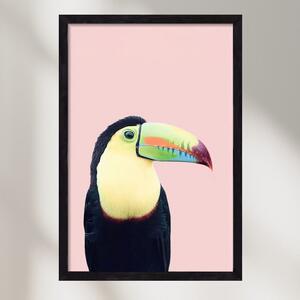 Toucan - falikép keretben | artbridge