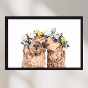 Boho Llamas - falikép keretben | artbridge