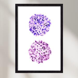 Hydrangea - falikép keretben | artbridge