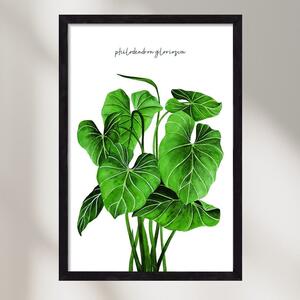 Philodendron gloriosum - falikép keretben | artbridge