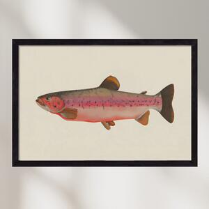 Fishy - falikép keretben | artbridge
