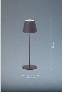 Szürke LED szabályozható-mozgásérzékelős asztali lámpa fém búrával (magasság 38 cm) Consenza – Fischer & Honsel