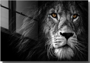 Üveg kép 70x50 cm Lion – Wallity