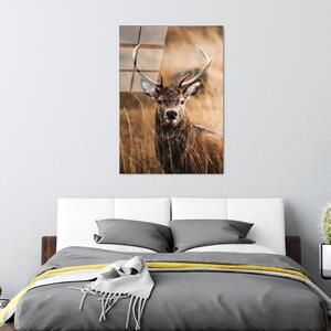 Üveg kép 70x100 cm Deer – Wallity