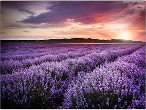Kép 100x70 cm Lavender Field – Wallity