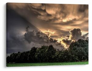 A felhők és az erdő képe (70x50 cm)