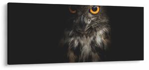 Bagoly képe (120x50 cm)