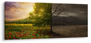 Kép - Életciklus (120x50 cm)