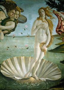 Botticelli, Sandro (Alessandro di Mariano di Vanni Filipepi) - Festmény reprodukció Sandro Botticelli - Birth of Venus, (30 x 40 cm)