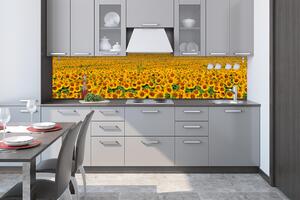 Konyhai fotótapéta - kötelek a napraforgó 260 x 60 cm