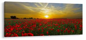 Egy kép a pipacs mezőről (120x50 cm)