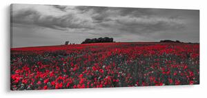 Pipacsos kép (120x50 cm)