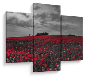 Pipacsos kép (90x60 cm)
