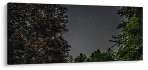 Éjszakai égbolt képe (120x50 cm)