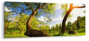 Kép egy tavaszi rétről (120x50 cm)