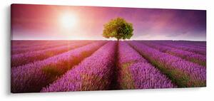 Levendula mező képe (120x50 cm)