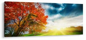 Napsütésben fürdő táj képe (120x50 cm)