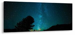 Egy éjszakai égbolt csillagokkal (120x50 cm)