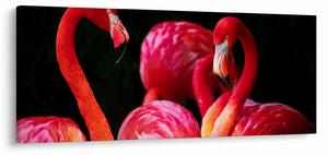 Vörös flamingók képe (120x50 cm)