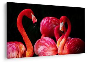 Vörös flamingók képe (90x60 cm)