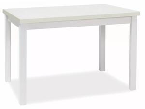 Adam 120 Fehér Matt Étkezőasztal Laminált MDF