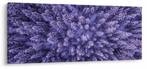Havas fák képe (120x50 cm)