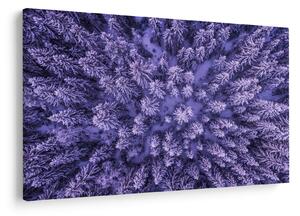 Havas fák képe (90x60 cm)