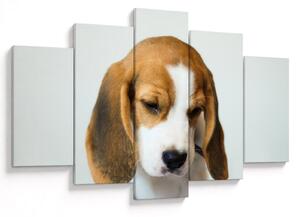 Beagle képe (150x105 cm)