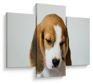 Beagle képe (90x60 cm)
