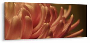 A virág részletének képe (120x50 cm)