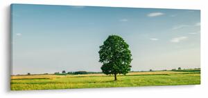 Fa képe a réten (120x50 cm)