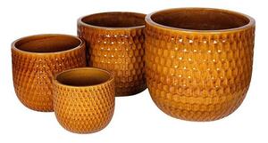 Hollis Classic Kerámia Növénytartó Szett Mézbarna 30x27-59x50cm S4