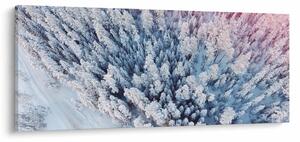 Havas fák képe (120x50 cm)