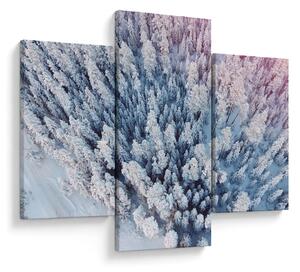 Havas fák képe (90x60 cm)