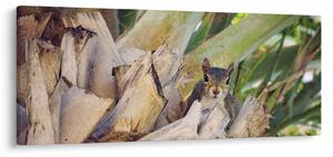 Mókus képe a fán (120x50 cm)