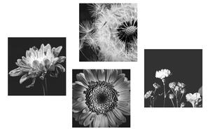 Képszett fekete-fehér lágy virágok