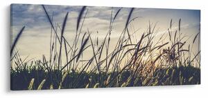 Réti virágok képe (120x50 cm)