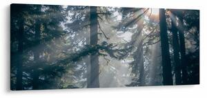 Fák képe a ragyogó nappal (120x50 cm)