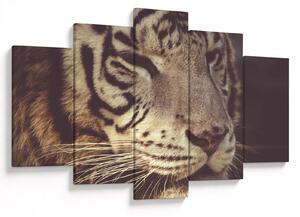 Tigris képe (150x105 cm)