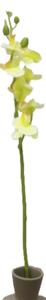 Szálas mű orchidea 7 virágos sárga, 60 cm