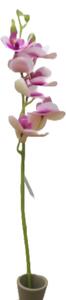 Szálas mű orchidea 7 virágos fehér-rózsaszín, 60 cm