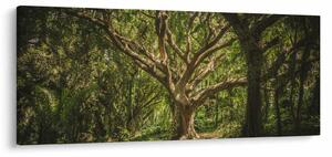 Fa képe (120x50 cm)