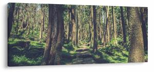 Kép egy út a fák között (120x50 cm)