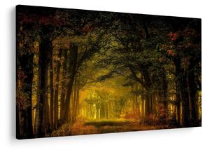 Erdő képe (90x60 cm)