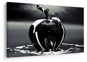 Egy fekete alma képe (90x60 cm)