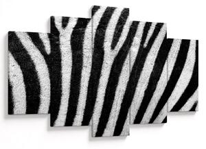Kép egy zebra bőrről (150x105 cm)
