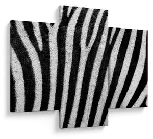 Kép egy zebra bőrről (90x60 cm)