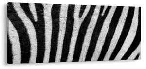 Kép egy zebra bőrről (120x50 cm)