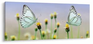 Pillangók eképe a virágon (120x50 cm)