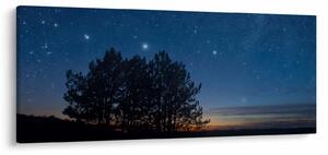 A fák éjjel képe (120x50 cm)